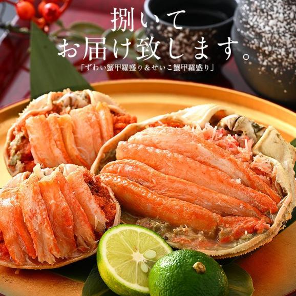 冬の味覚 甲羅盛りセット極 越前産ズワイガニ 中サイズ×1個（甲羅横幅 約11cm）セイコガニ 小サイズ 70g前後×2個（甲羅横幅 約7.5cm） ギフト02