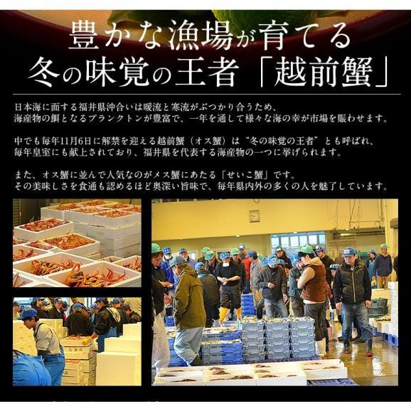 冬の味覚 甲羅盛りセット極 越前産ズワイガニ 中サイズ×1個（甲羅横幅 約11cm）セイコガニ 小サイズ 70g前後×2個（甲羅横幅 約7.5cm） ギフト03
