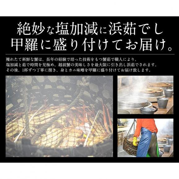 冬の味覚 甲羅盛りセット極 越前産ズワイガニ 中サイズ×1個（甲羅横幅 約11cm）セイコガニ 小サイズ 70g前後×2個（甲羅横幅 約7.5cm） ギフト04