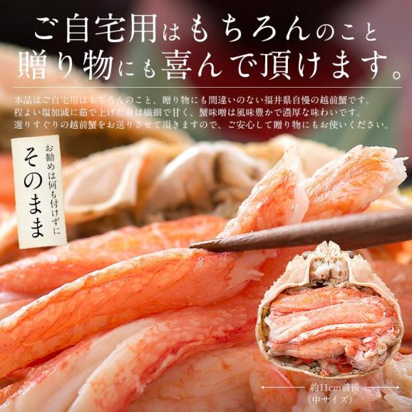 冬の味覚 甲羅盛りセット極 越前産ズワイガニ 中サイズ×1個（甲羅横幅 約11cm）セイコガニ 小サイズ 70g前後×2個（甲羅横幅 約7.5cm） ギフト05
