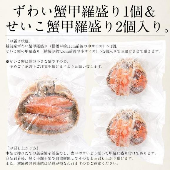 冬の味覚 甲羅盛りセット極 越前産ズワイガニ 中サイズ×1個（甲羅横幅 約11cm）セイコガニ 小サイズ 70g前後×2個（甲羅横幅 約7.5cm） ギフト06
