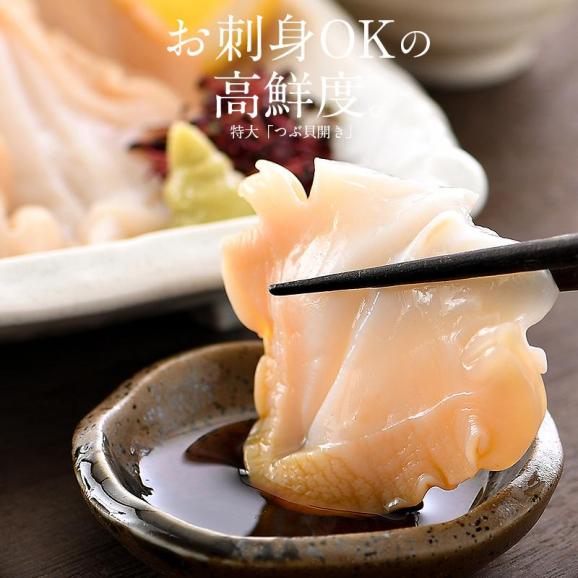 つぶ貝 ツブ貝 粒貝 つぶ貝開き 500g バイ貝 ばい貝 特大サイズ 刺身 冬グルメ 冬ギフト02
