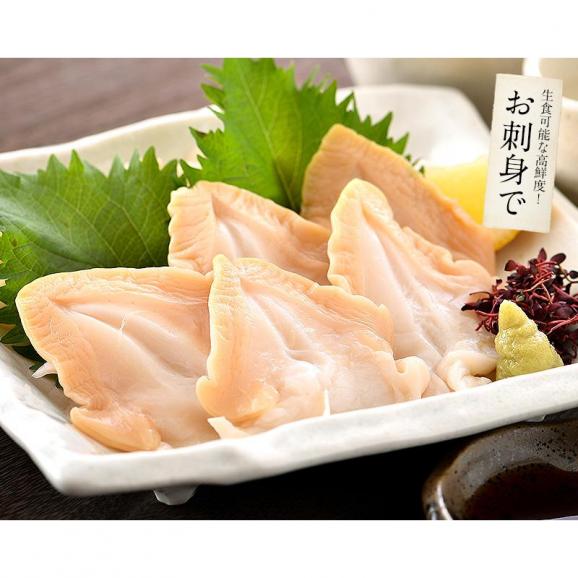 つぶ貝 ツブ貝 粒貝 つぶ貝開き 500g バイ貝 ばい貝 特大サイズ 刺身 冬グルメ 冬ギフト04
