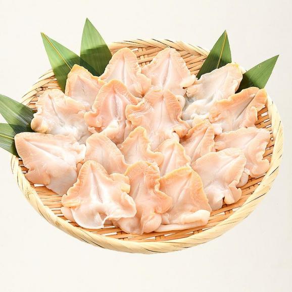 つぶ貝 ツブ貝 粒貝 つぶ貝開き 500g バイ貝 ばい貝 特大サイズ 刺身 冬グルメ 冬ギフト06