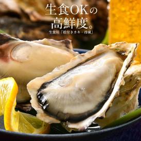 カキ 牡蠣 かき 生食用 殻付き 1kg（8?10個前後） 冷凍 