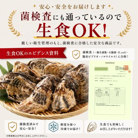 カキ 牡蠣 かき 生食用 殻付き 1kg（8-10個前後） 冷凍 02