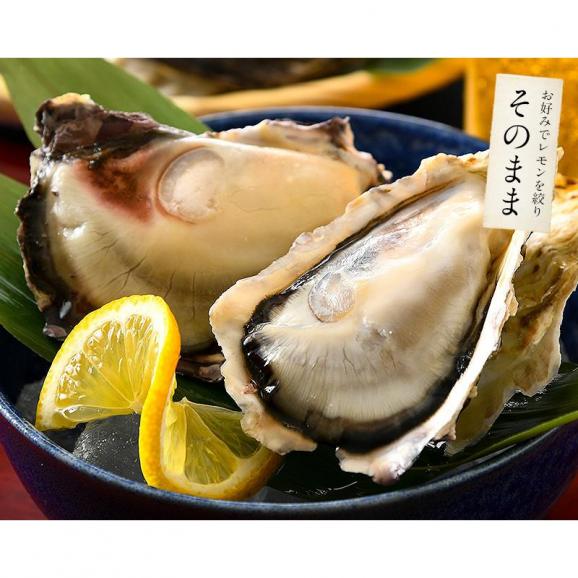 カキ 牡蠣 かき 生食用 殻付き 1kg（8?10個前後） 冷凍 04