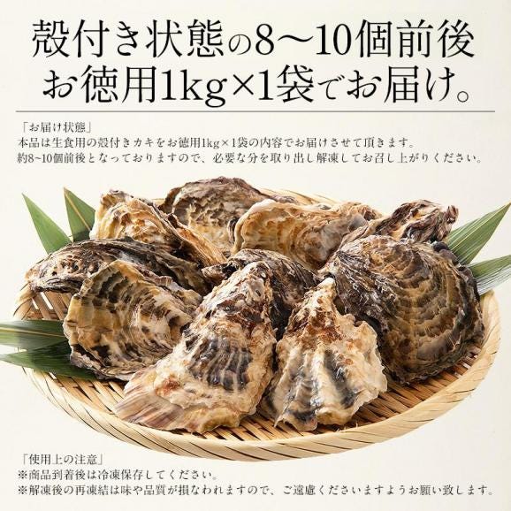 カキ 牡蠣 かき 生食用 殻付き 1kg（8?10個前後） 冷凍 06