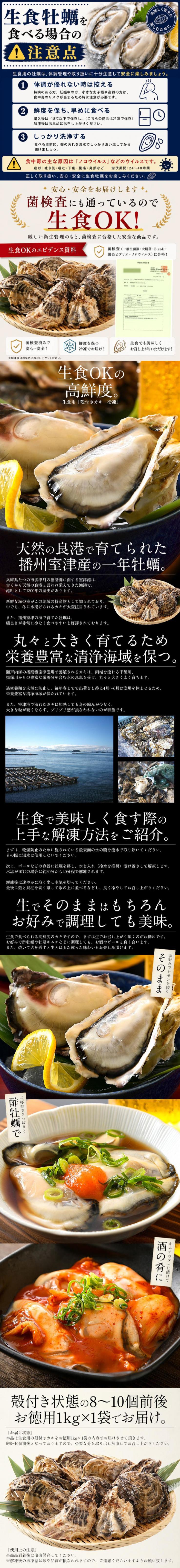 カキ 牡蠣 かき 生食用 殻付き 1kg（8-10個前後） 冷凍 _説明画像01