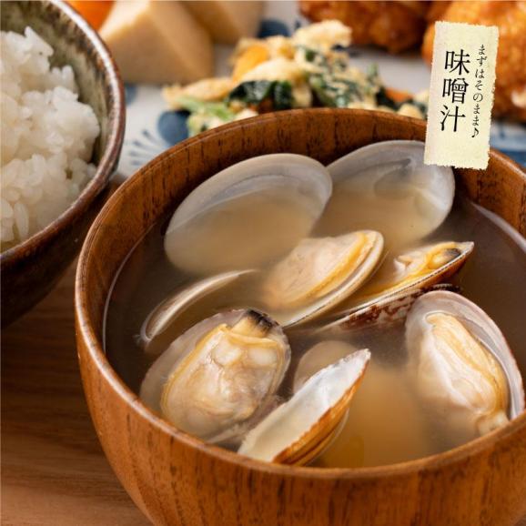 殻付き アサリ あさり ボイル済み 砂抜き 1kg（500ｇ×2Ｐ） 冷凍食品 貝 浅利 旨み 出汁 04