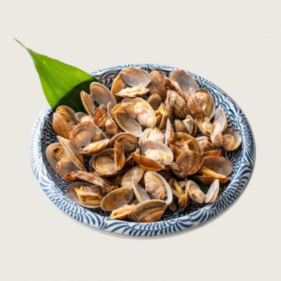 殻付き アサリ あさり ボイル済み 砂抜き 1kg（500ｇ×2Ｐ） 冷凍食品 貝 浅利 旨み 出汁 06