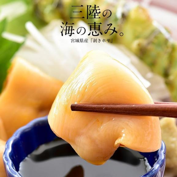 ほや ホヤ 900g（300g×3袋） 三陸 むきほや ほや貝 02