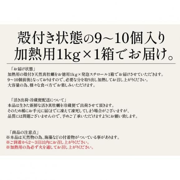 【同梱不可】天然 真牡蠣 加熱用 殻付き 1kg（9?10個前後） 05