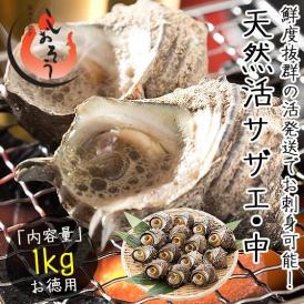 サザエ さざえ 活サザエを産地直送！