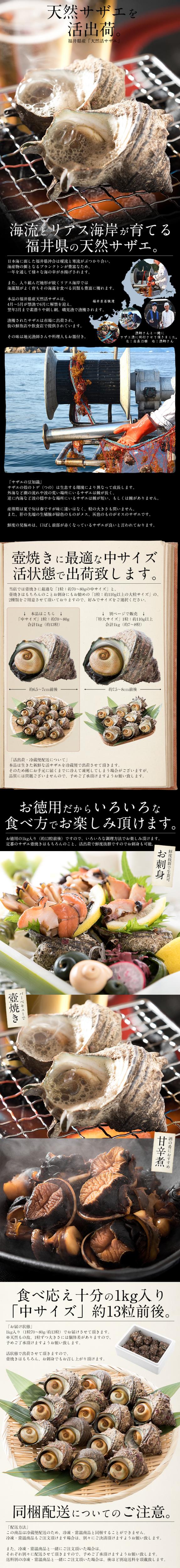 同梱不可】 サザエ さざえ 中サイズ 1kg 天然 活 （1粒70?80g/約13粒