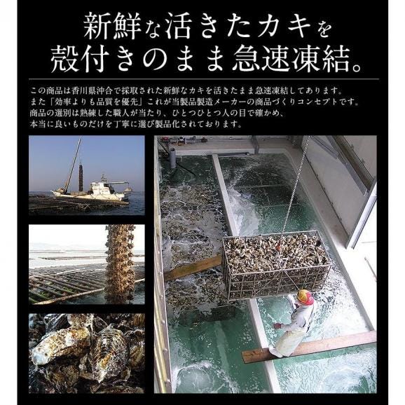 カキ 牡蠣 缶焼き かき 2kg（殻付き 約22?30個）03