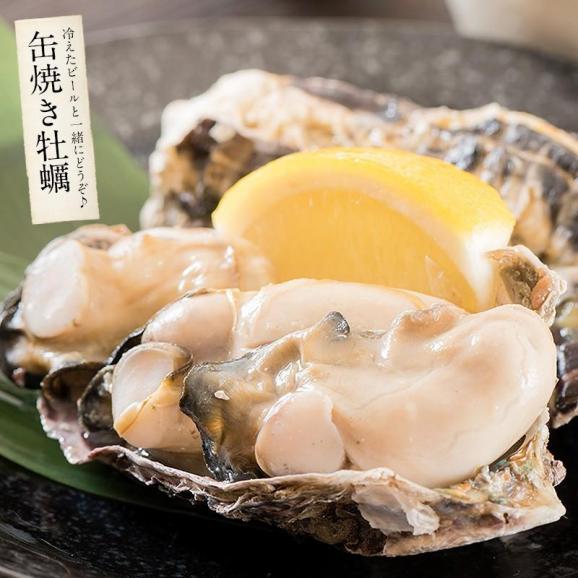 カキ 牡蠣 缶焼き かき 3kg（殻付き 約32?42個）06