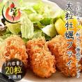 カキフライ 700g（大粒20粒）贈答用 広島県産