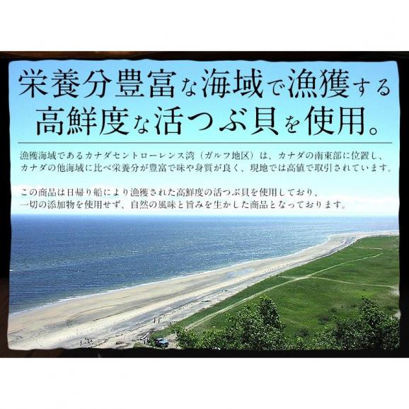 つぶ貝 ツブ貝 粒貝 ボイルつぶ貝 剥き身 1kg（約80粒入り）03
