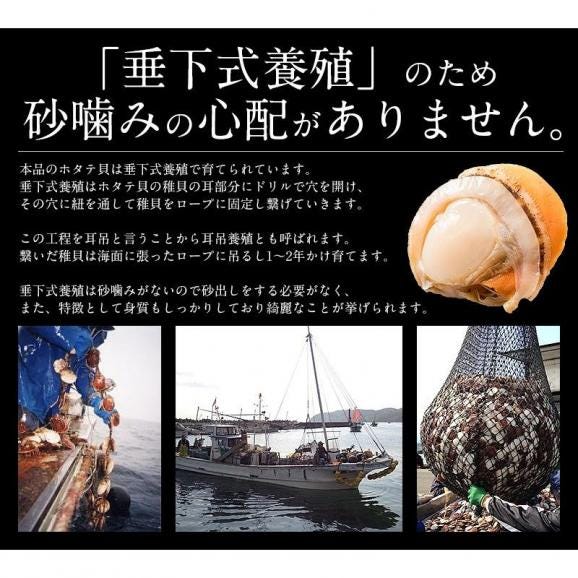 ホタテ ほたて ボイル 800g（約21?25粒入り）04
