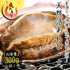 【同梱不可】 活アワビ アワビ 活 あわび 大サイズ 約300g（約300g×1枚）