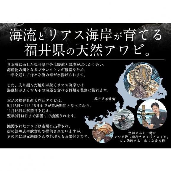 【同梱不可】 活アワビ アワビ 活 あわび 大サイズ 約300g（約300g×1枚）03