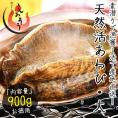 【同梱不可】活アワビ アワビ 活 あわび 大サイズ 約900g（約300g×3枚） 