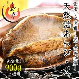 【同梱不可】活アワビ アワビ 活 あわび 大サイズ 約900g（約300g×3枚） 