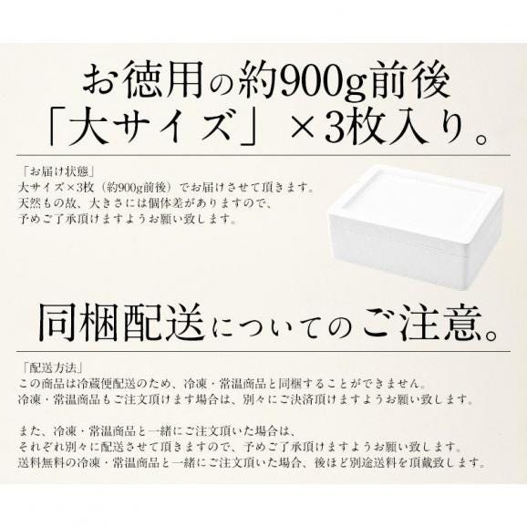 【同梱不可】活アワビ アワビ 活 あわび 大サイズ 約900g（約300g×3枚） 05