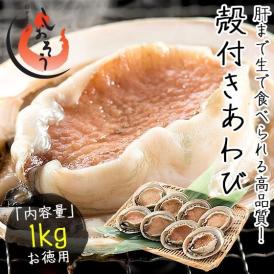 アワビ あわび 鮑 殻付き 1kg（約8?9粒入り）