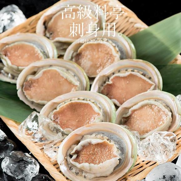アワビ あわび 鮑 殻付き 1kg（約8?9粒入り）02