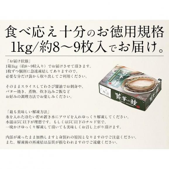 アワビ あわび 鮑 殻付き 1kg（約8?9粒入り）05