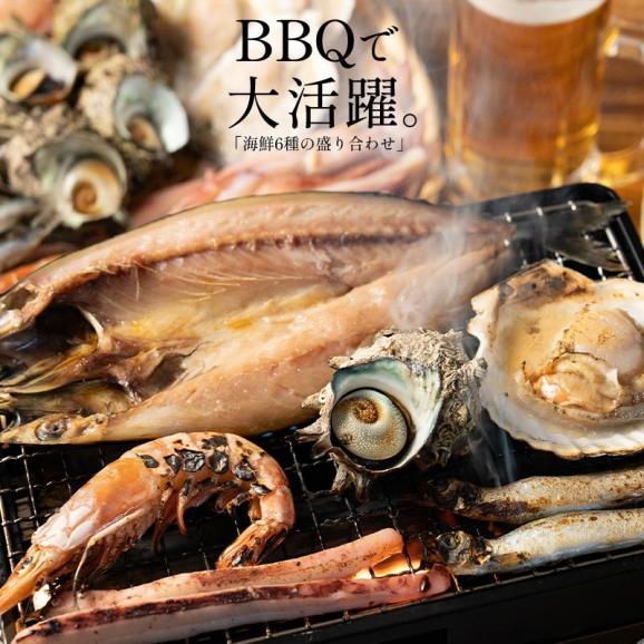 バーベキューセット 海鮮 BBQ セット 6種 サザエ 02