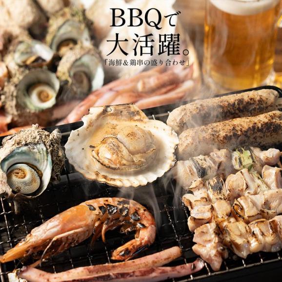 バーベキューセット 海鮮 BBQ セット 7種 サザエ イカ ホタテ 赤海老 焼き鳥 鶏もも 02