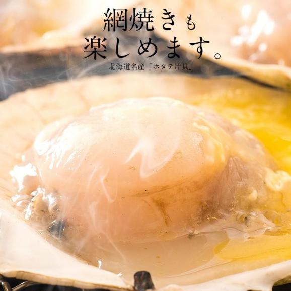 ホタテ ほたて 殻付き 10枚 北海道産 片貝 帆立 冬グルメ 冬ギフト02