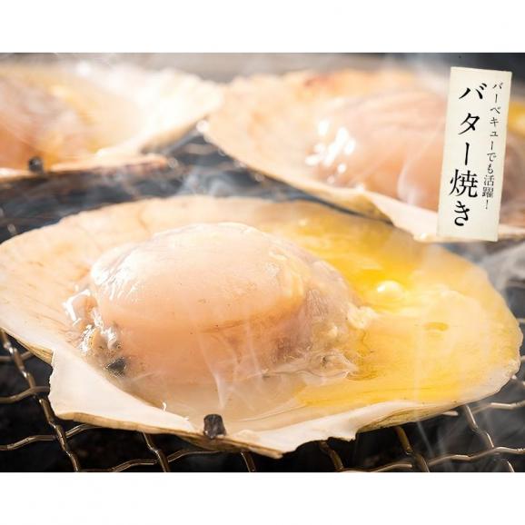 ホタテ ほたて 殻付き 10枚 北海道産 片貝 帆立 冬グルメ 冬ギフト04