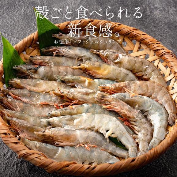 ソフトシェル シュリンプ 500g 20?25尾 殻付き えび 冷凍えび02