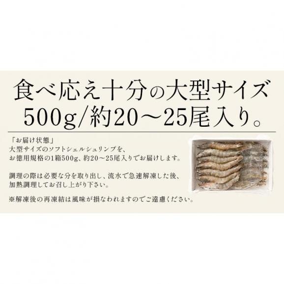 ソフトシェル シュリンプ 500g 20?25尾 殻付き えび 冷凍えび05