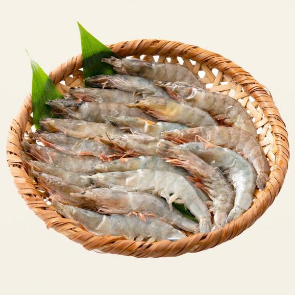 ソフトシェル シュリンプ 500g 20?25尾 殻付き えび 冷凍えび06