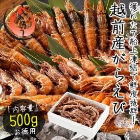 ガラエビ がらえび 500g（約35尾入り）刺身用 越前産 もさえび 海老 