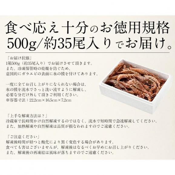 ガラエビ がらえび 500g（約35尾入り）刺身用 越前産 もさえび 海老 05