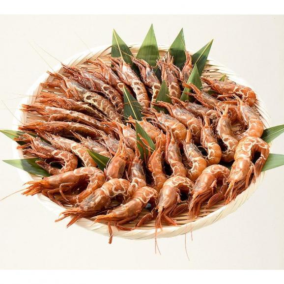 ガラエビ がらえび 500g（約35尾入り）刺身用 越前産 もさえび 海老 06