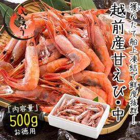 甘エビ 甘えび 子持ち 500g （約40尾入り）刺身用 