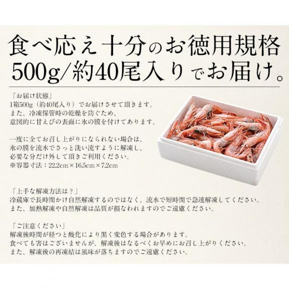 甘エビ 甘えび 子持ち 500g （約40尾入り）刺身用 05