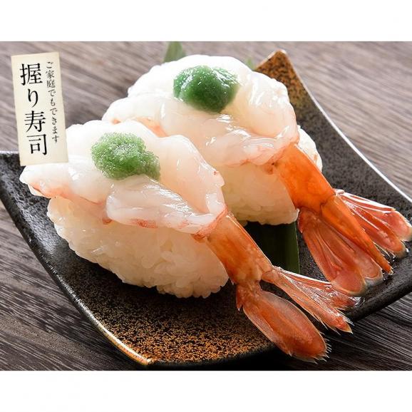 ボタンエビ 500g（約11?12尾入り） ぼたんえび 牡丹海04