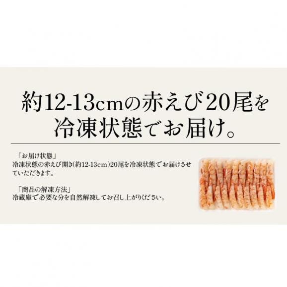 赤えび 開き 20尾（約12?13cm） アルゼンチン 赤エビ05