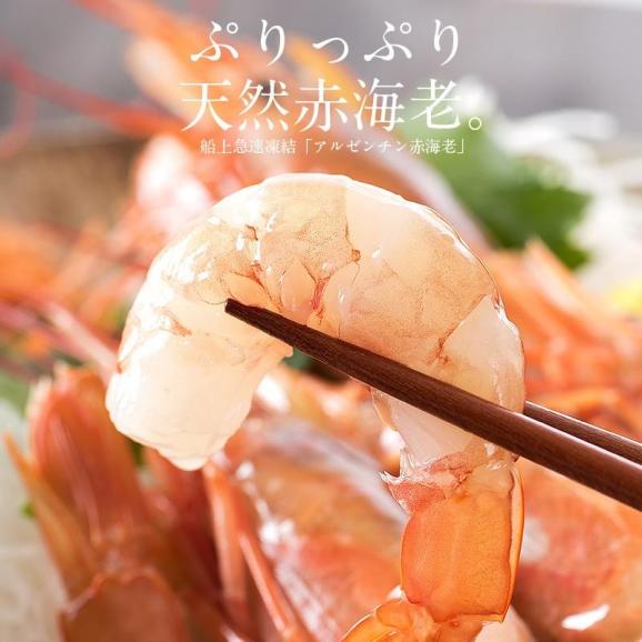 赤海老 天然 赤えび 2kg（約40?60尾入り）02