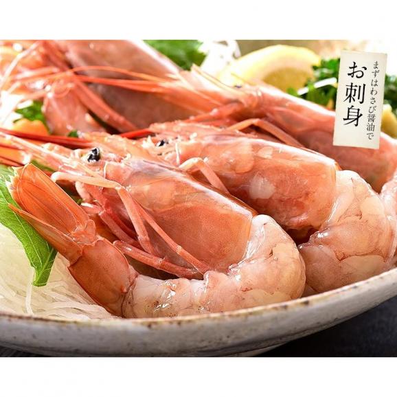 赤海老 天然 赤えび 2kg（約40?60尾入り）04