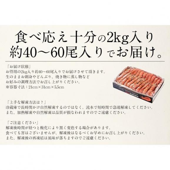 赤海老 天然 赤えび 2kg（約40?60尾入り）05