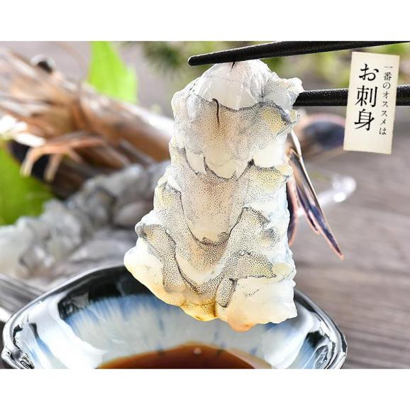 天使の海老 1kg （約20?30尾入り）えび エビ04